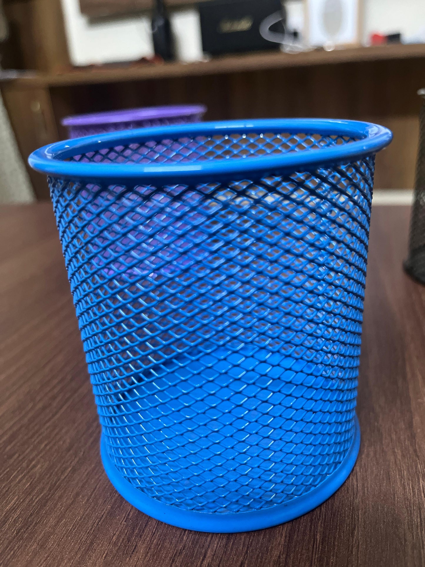 Metal Mesh Pen Holder | Colorful Desk Organizer (Black, Blue, Purple)